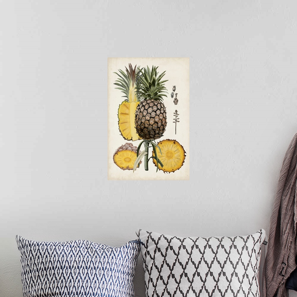 A bohemian room featuring Pineapple Botanical Study II