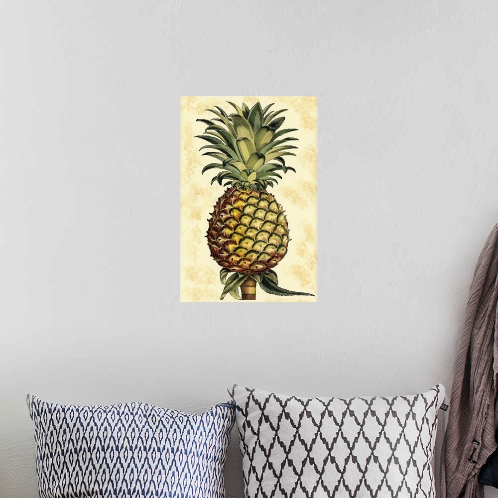 A bohemian room featuring Vintage stylized illustration of a pineapple.
