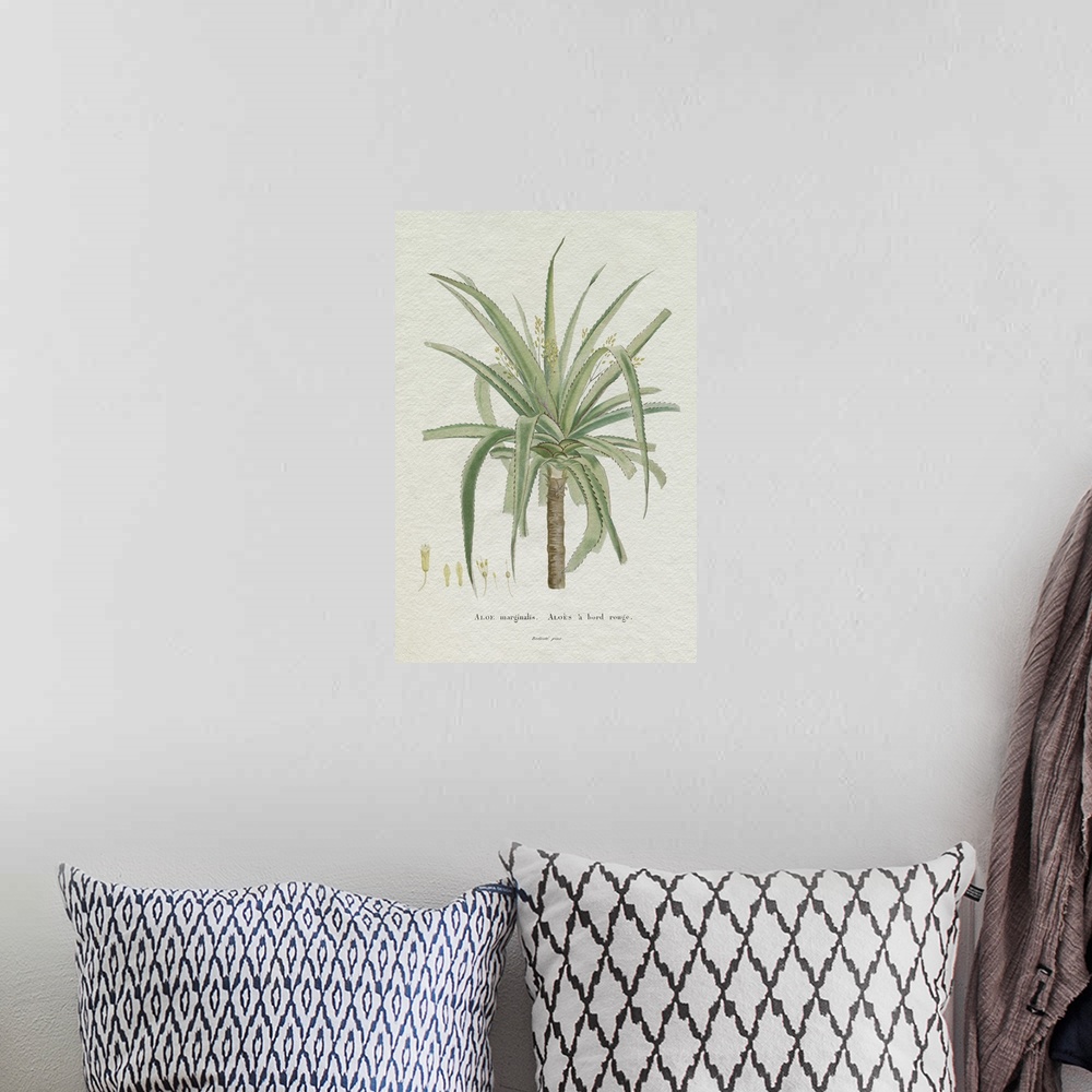 A bohemian room featuring Redoute Succulent II