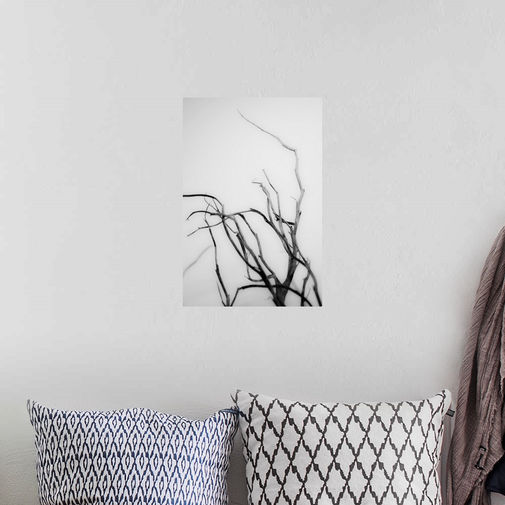 A bohemian room featuring Searching Branches II