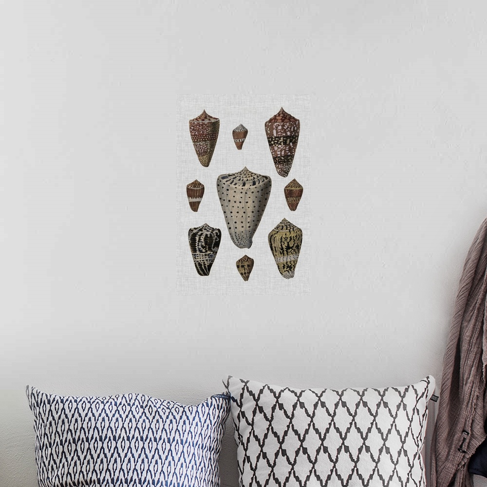 A bohemian room featuring Shell Display I
