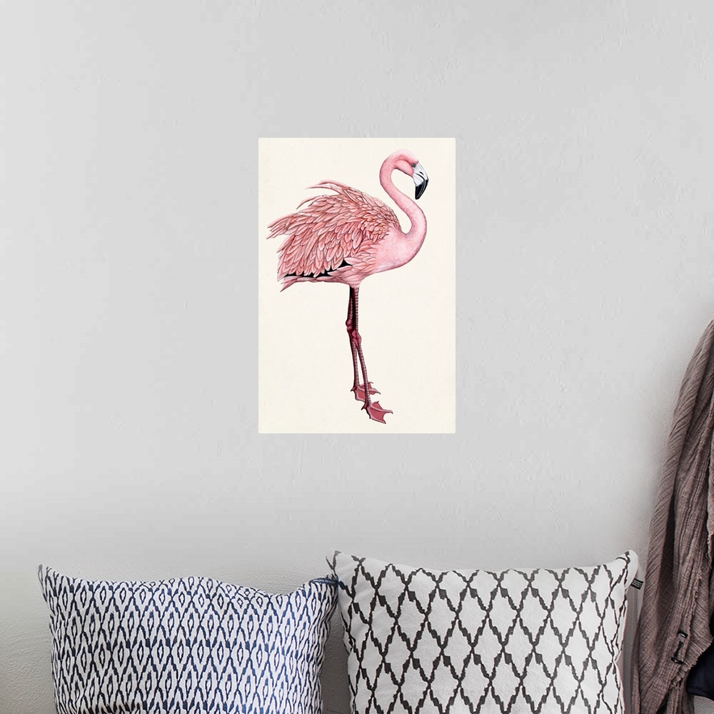 A bohemian room featuring Striking Flamingo I