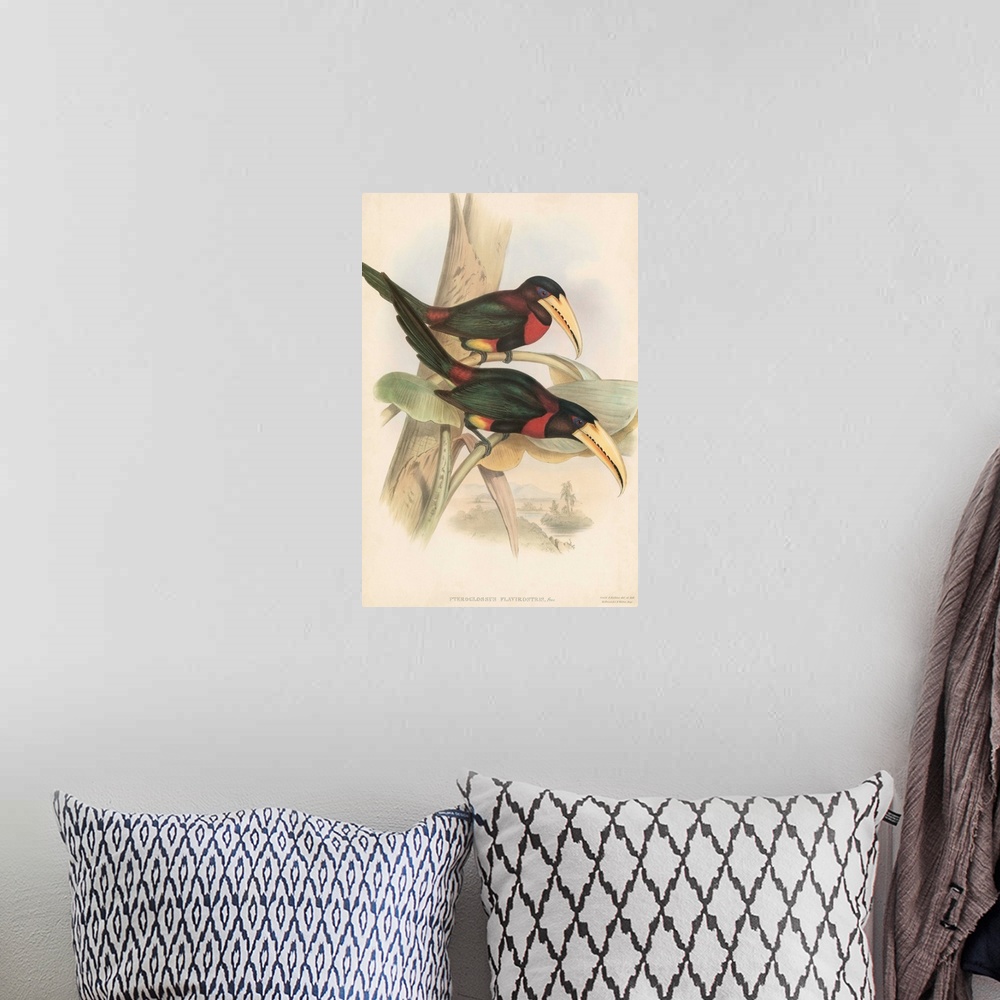 A bohemian room featuring Tropical Toucans VII