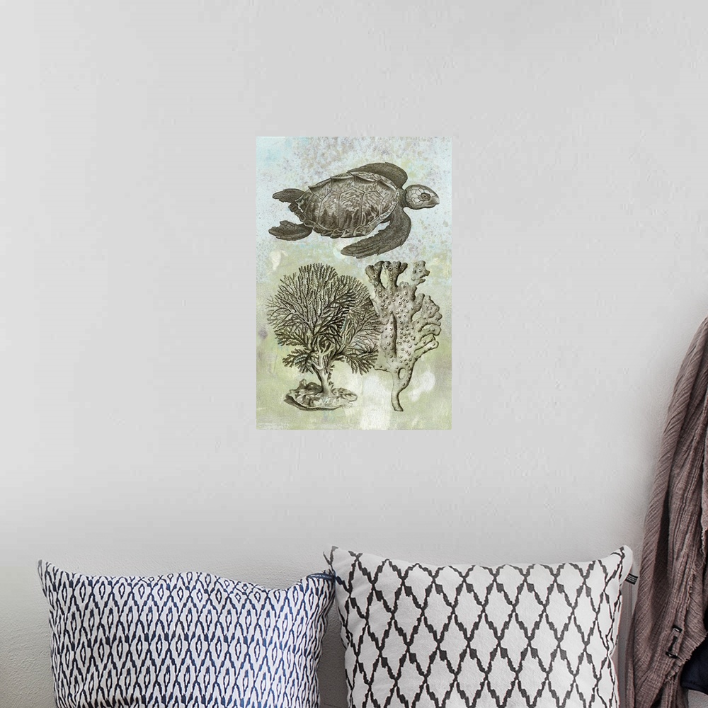 A bohemian room featuring Contemporary artwork featuring an illustrated turtle and coral on pastel distressed background.