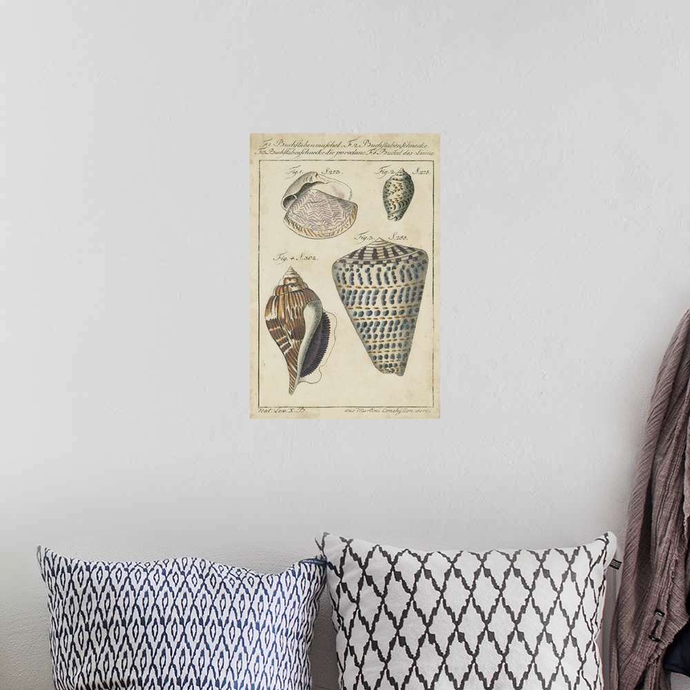 A bohemian room featuring Vintage Shell Study II