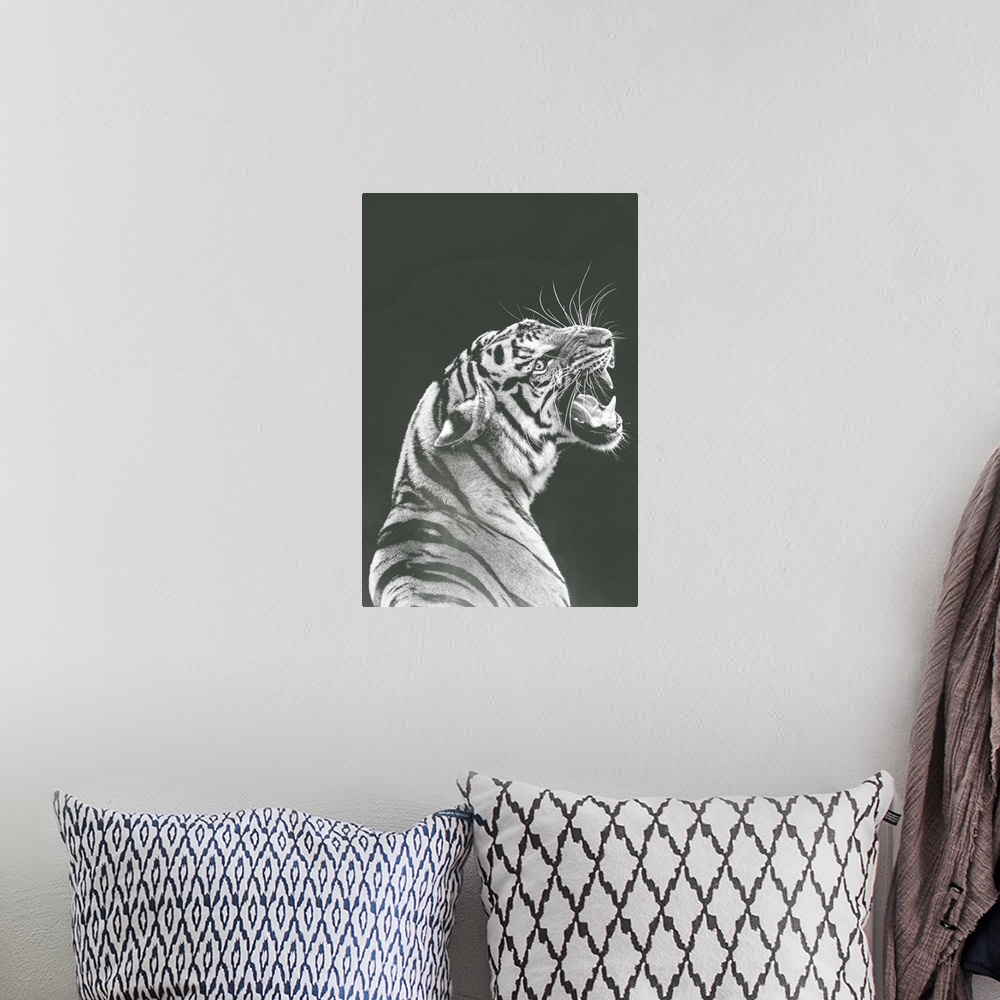 A bohemian room featuring Grey Tiger