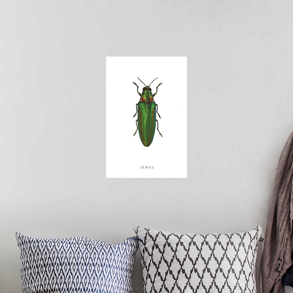 A bohemian room featuring Jewel Beetle