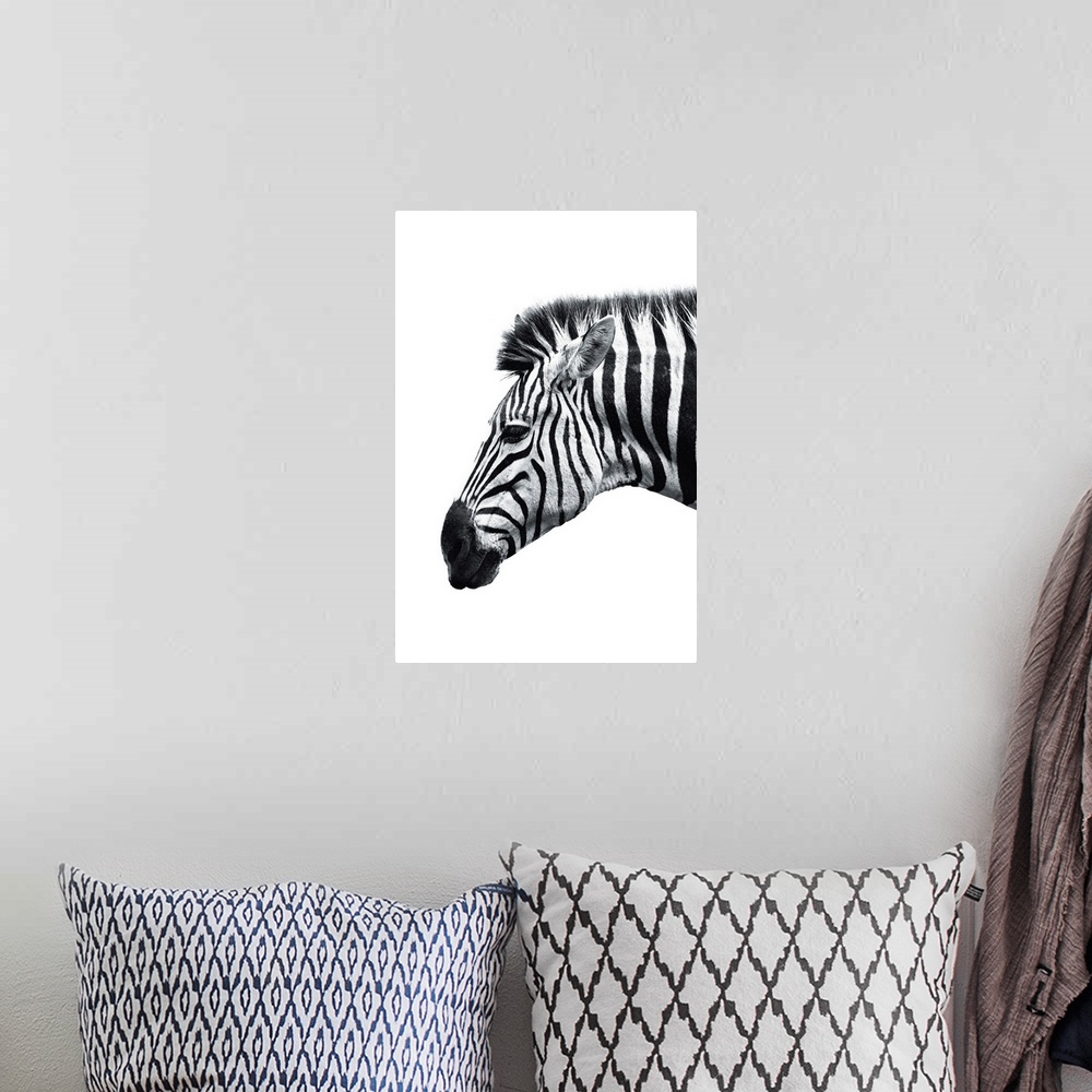 A bohemian room featuring White Zebra