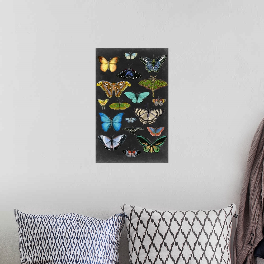A bohemian room featuring Graphic Butterfly Taxonomy I