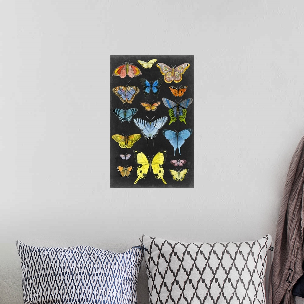 A bohemian room featuring Graphic Butterfly Taxonomy II