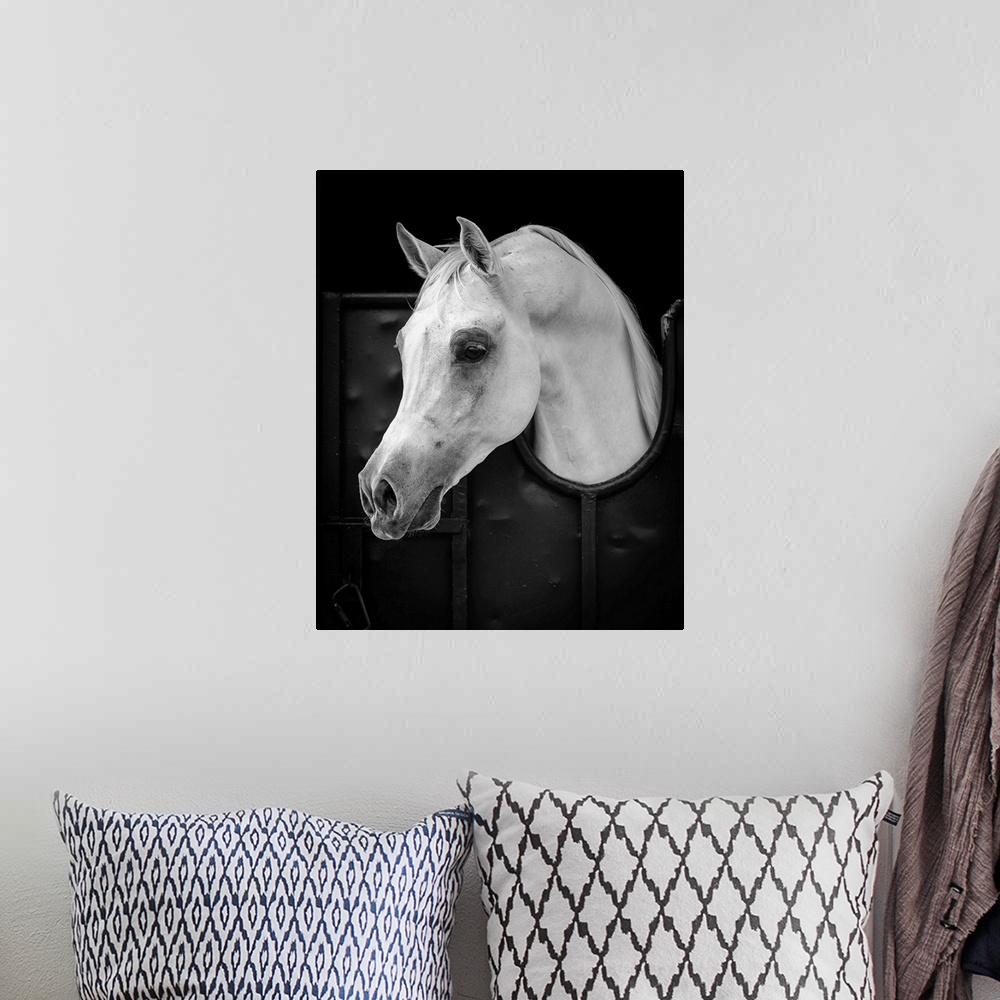A bohemian room featuring Arabian Horse
