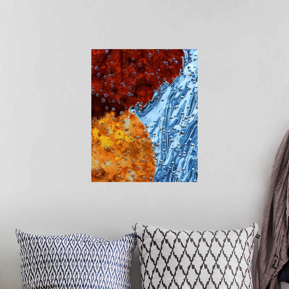 A bohemian room featuring Close up image of autumn leaves encased in ice with airbubbles.