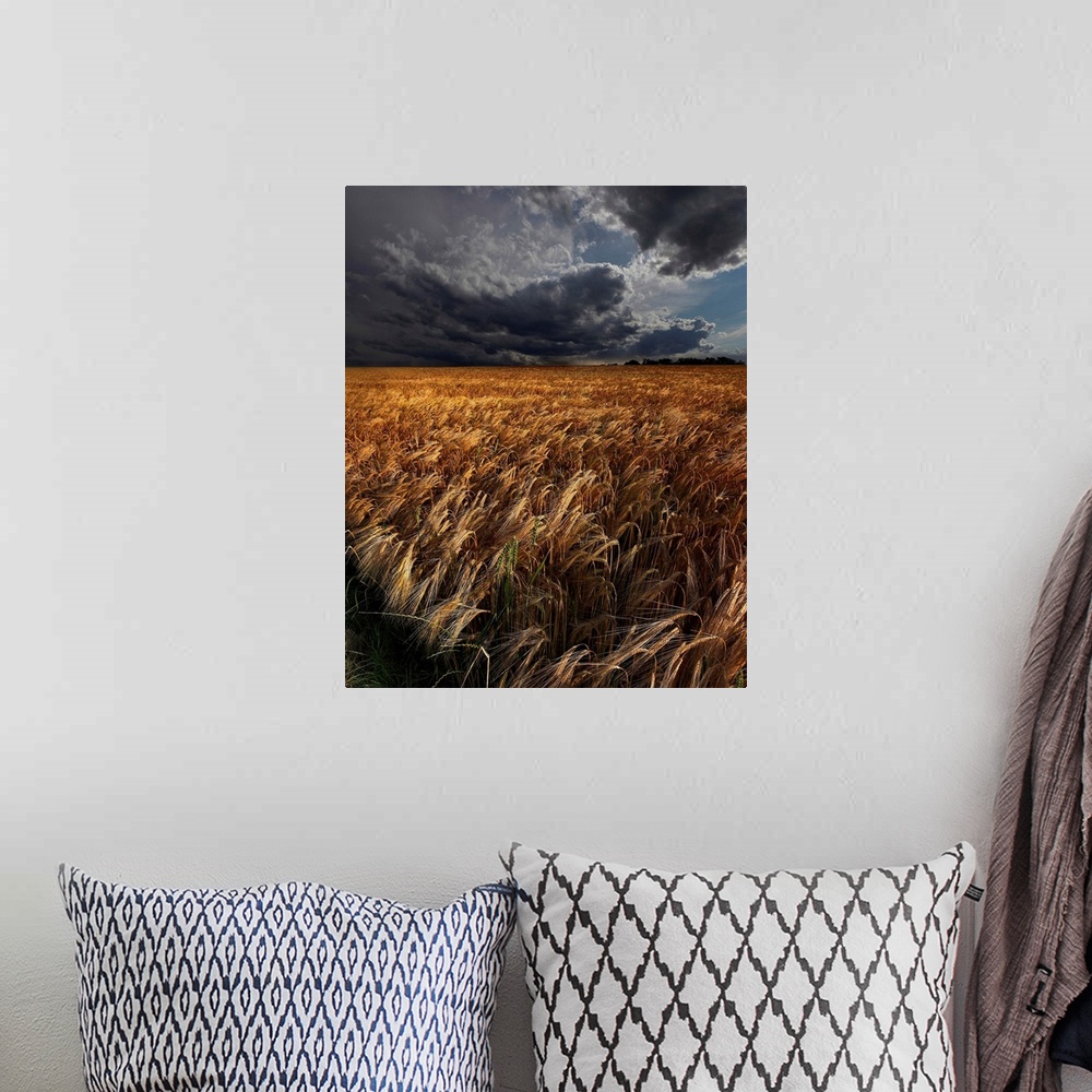 A bohemian room featuring Intense clouds hanging over a field of golden crops.