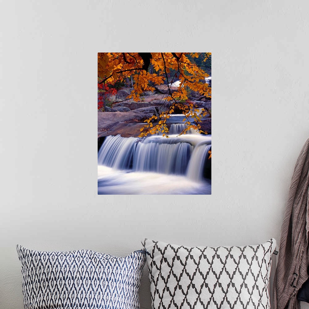 A bohemian room featuring Fall scene with a waterfall under a branch full of orange leaves.