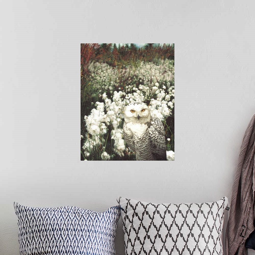 A bohemian room featuring A large snowy owl in a cotton field.