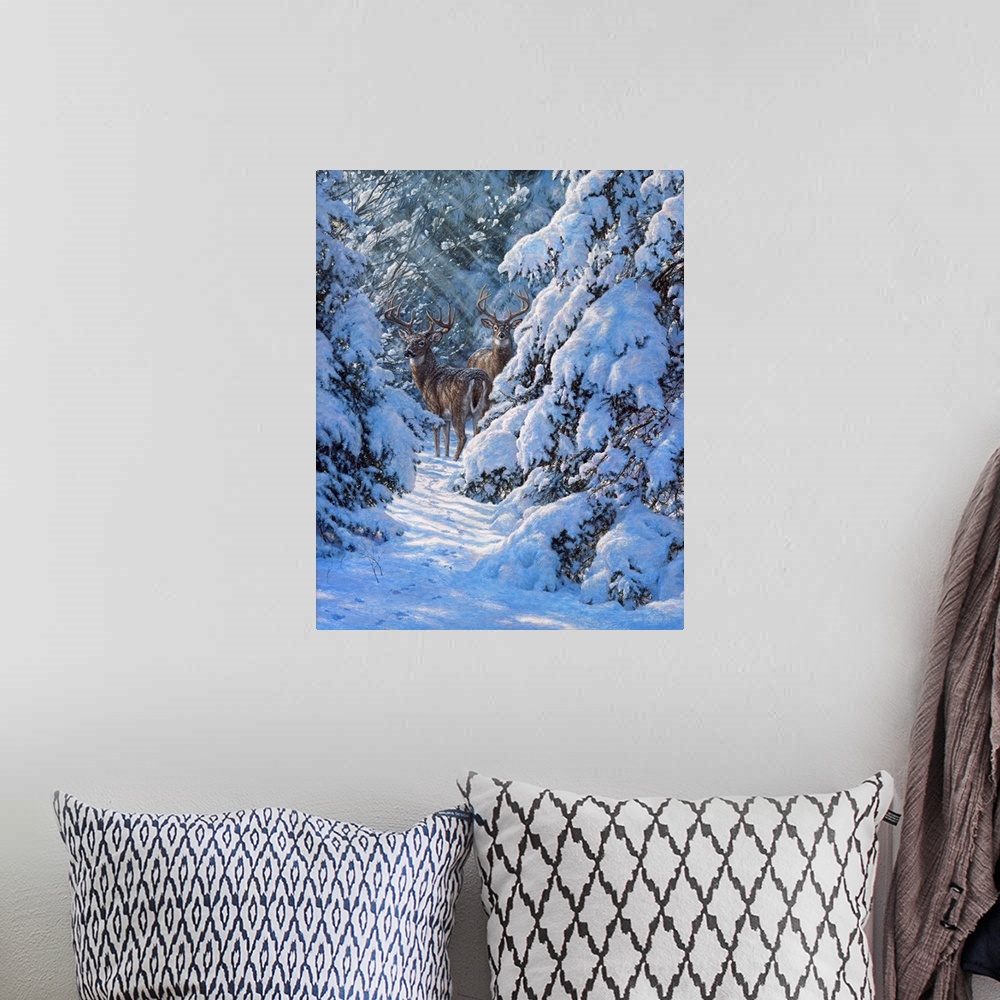 A bohemian room featuring Winter Sentinels - White Tailed Deer
