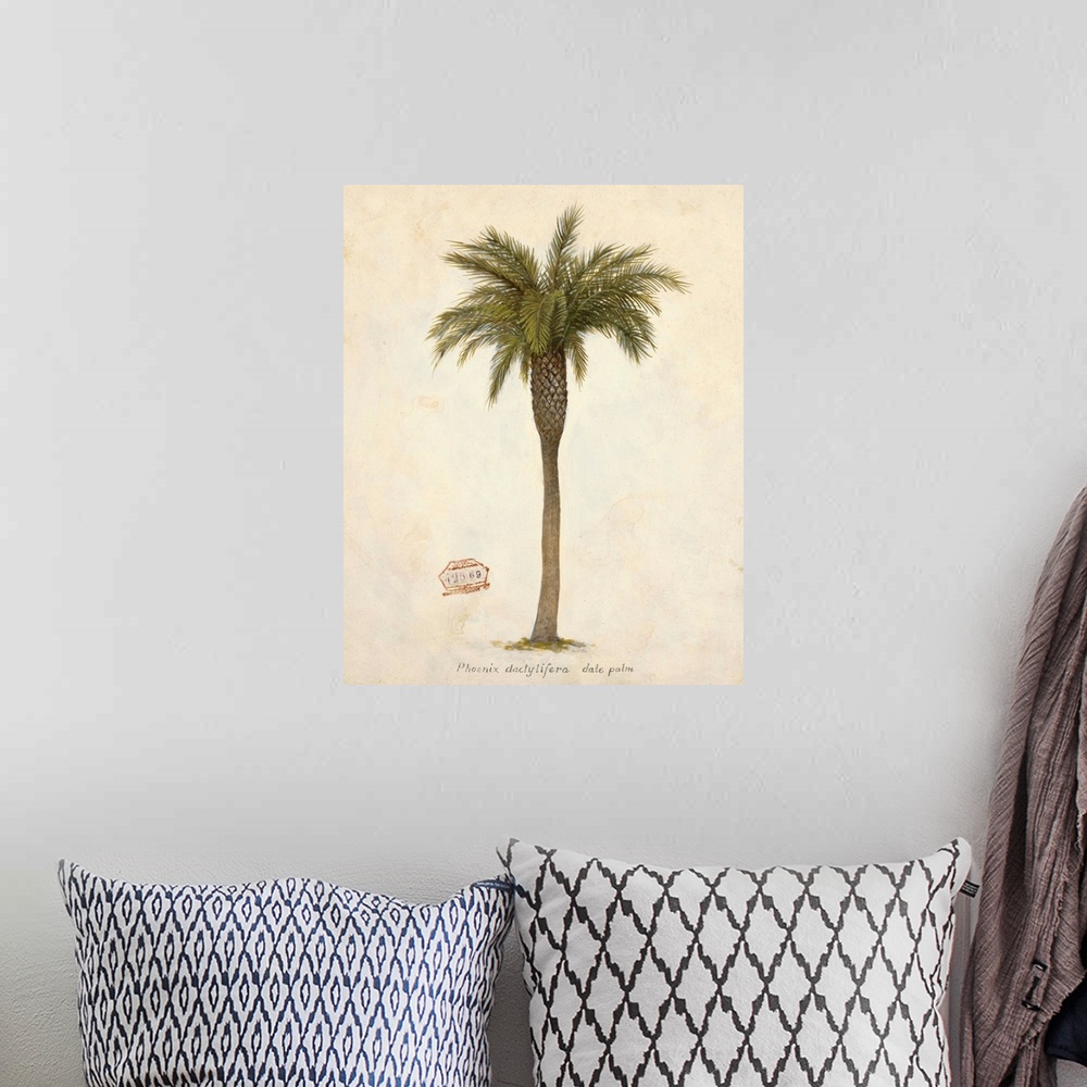A bohemian room featuring Date Palm Illustration