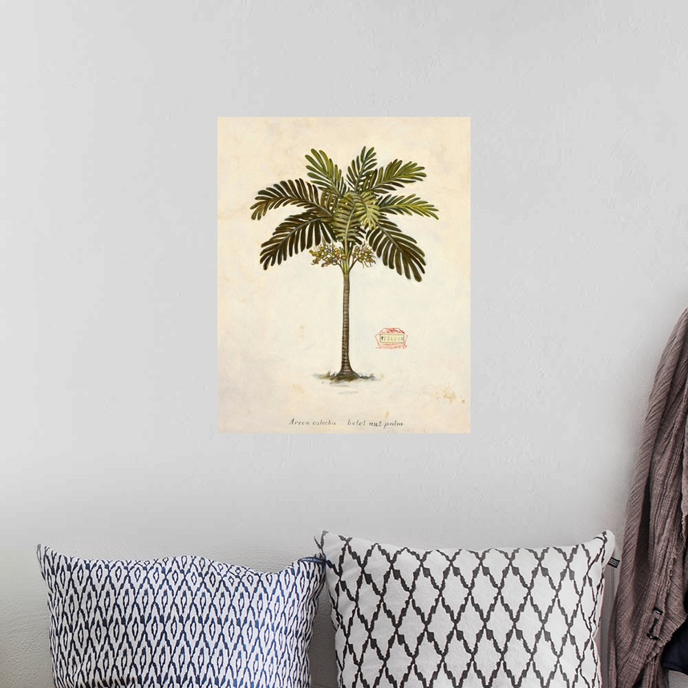 A bohemian room featuring Nut Palm Illustration