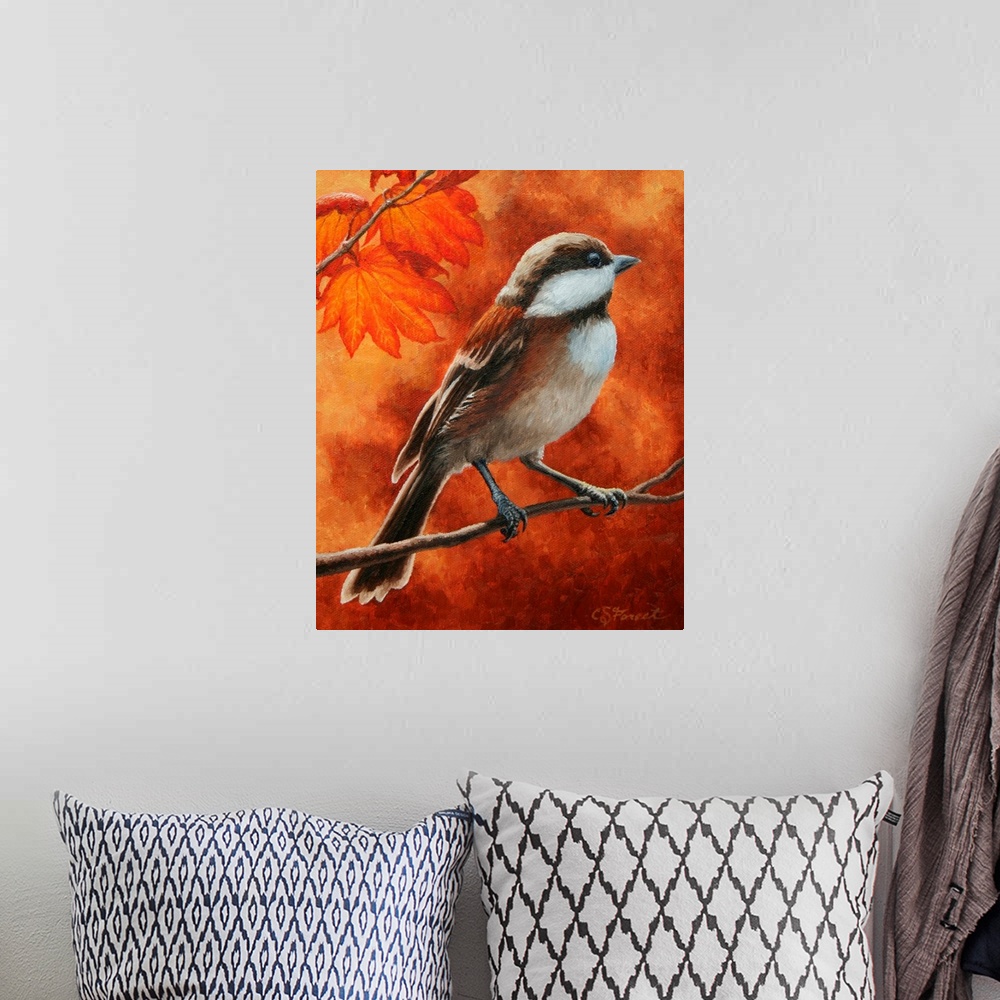 A bohemian room featuring Chickadee on a branch in autumn.