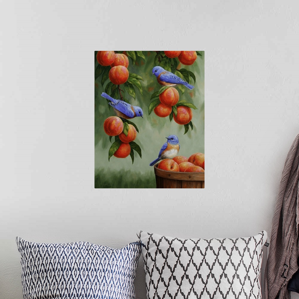 A bohemian room featuring Three bluebirds perched on peaches in a peach tree and basket.