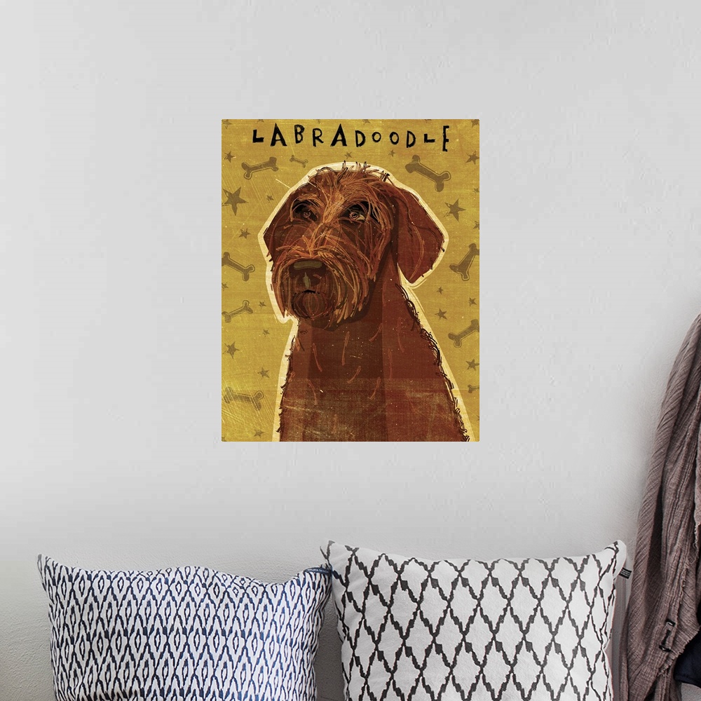 A bohemian room featuring Chocolate Labradoodle
