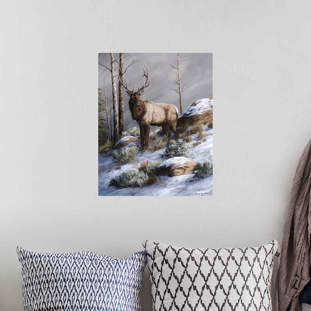 A bohemian room featuring Cold Ridge Watcher