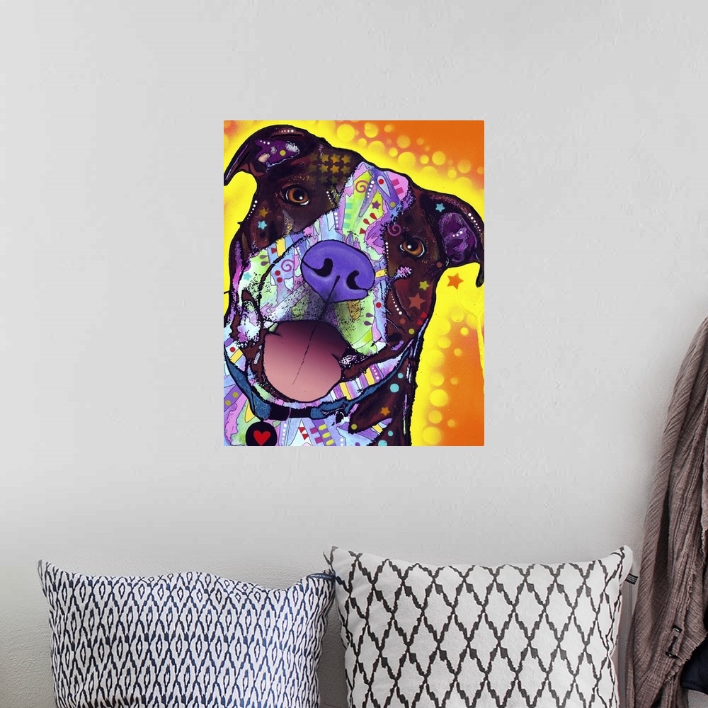 A bohemian room featuring Pit bull, dog, many colors