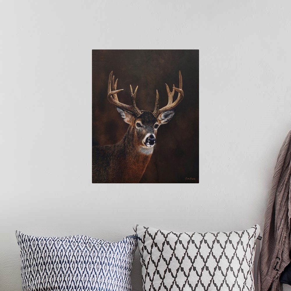 A bohemian room featuring White Tailed 12 Point Buck