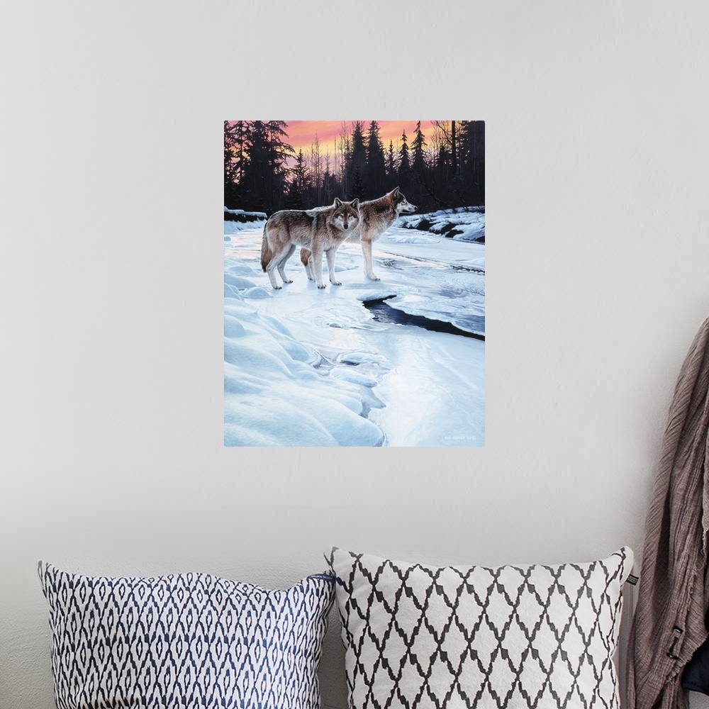 A bohemian room featuring Two wolves standing next to a small snow covered stream.