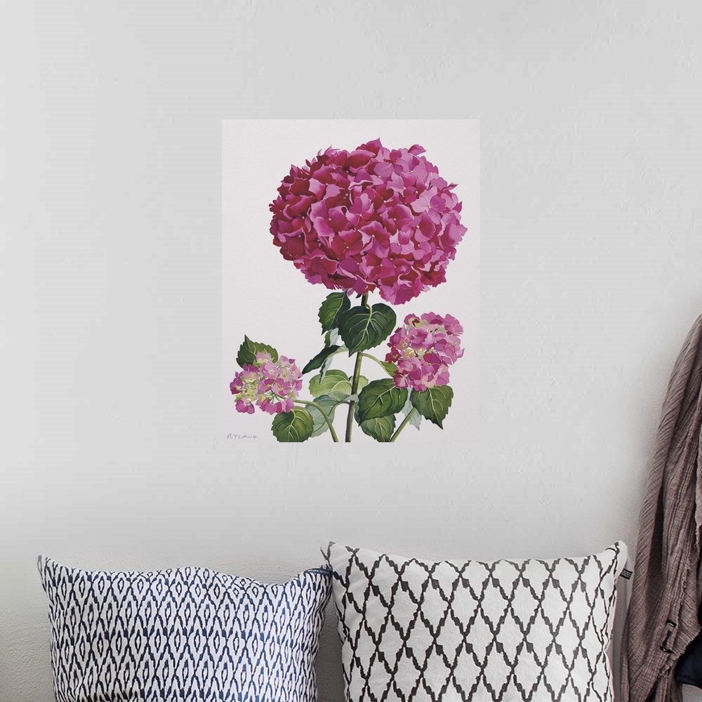 A bohemian room featuring Contemporary painting of a pink flowering hydrangea.