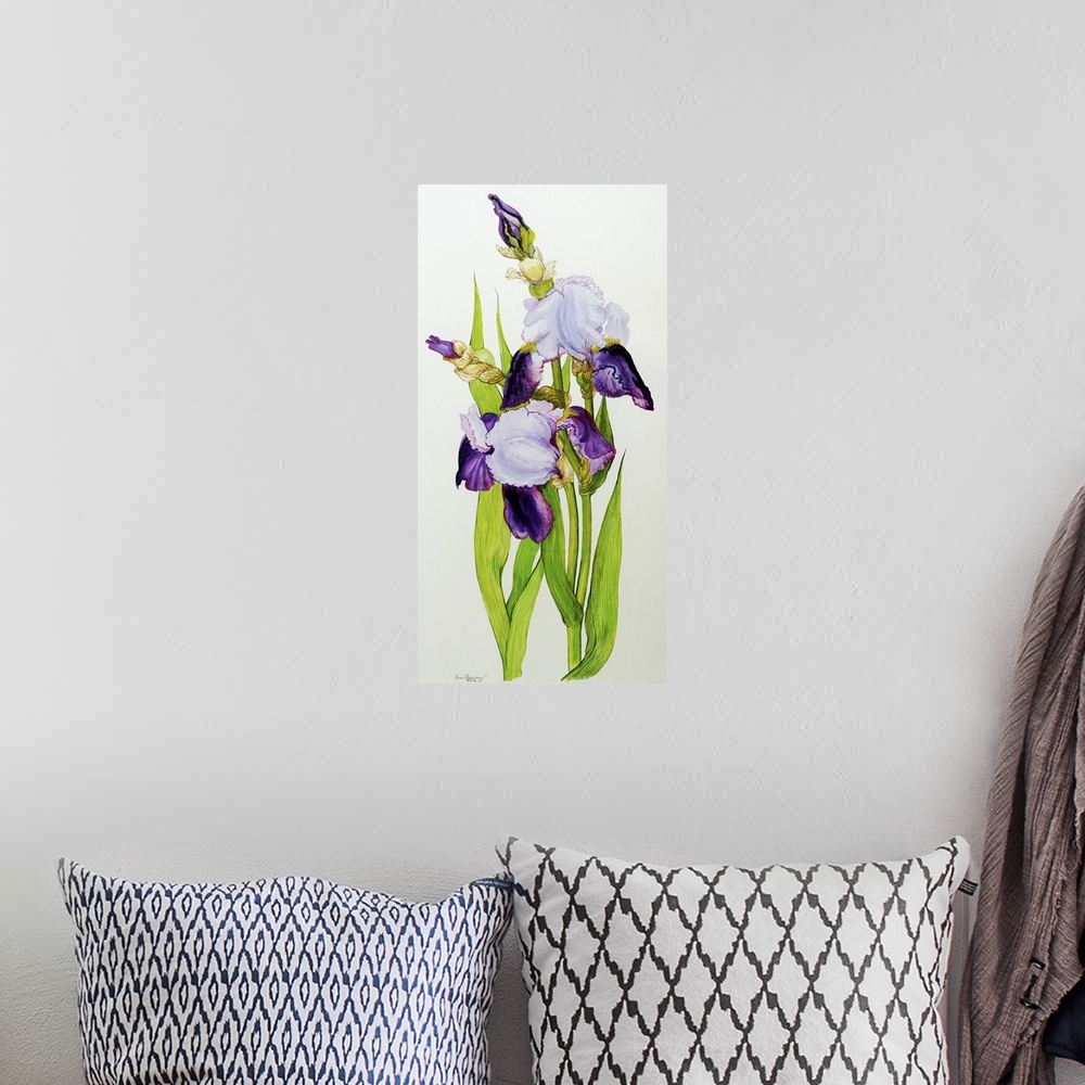 A bohemian room featuring Mauve and purple irises with two buds