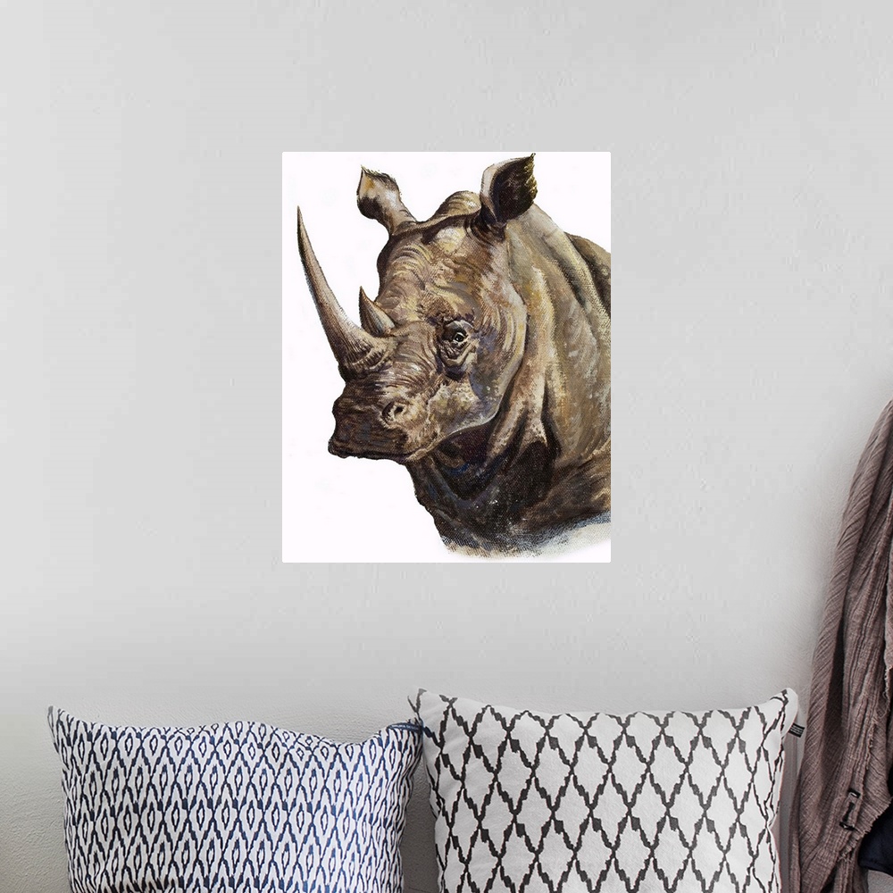 A bohemian room featuring White Rhinoceros. The white rhinoceros is the second largest land mammal exceeded only by the ele...