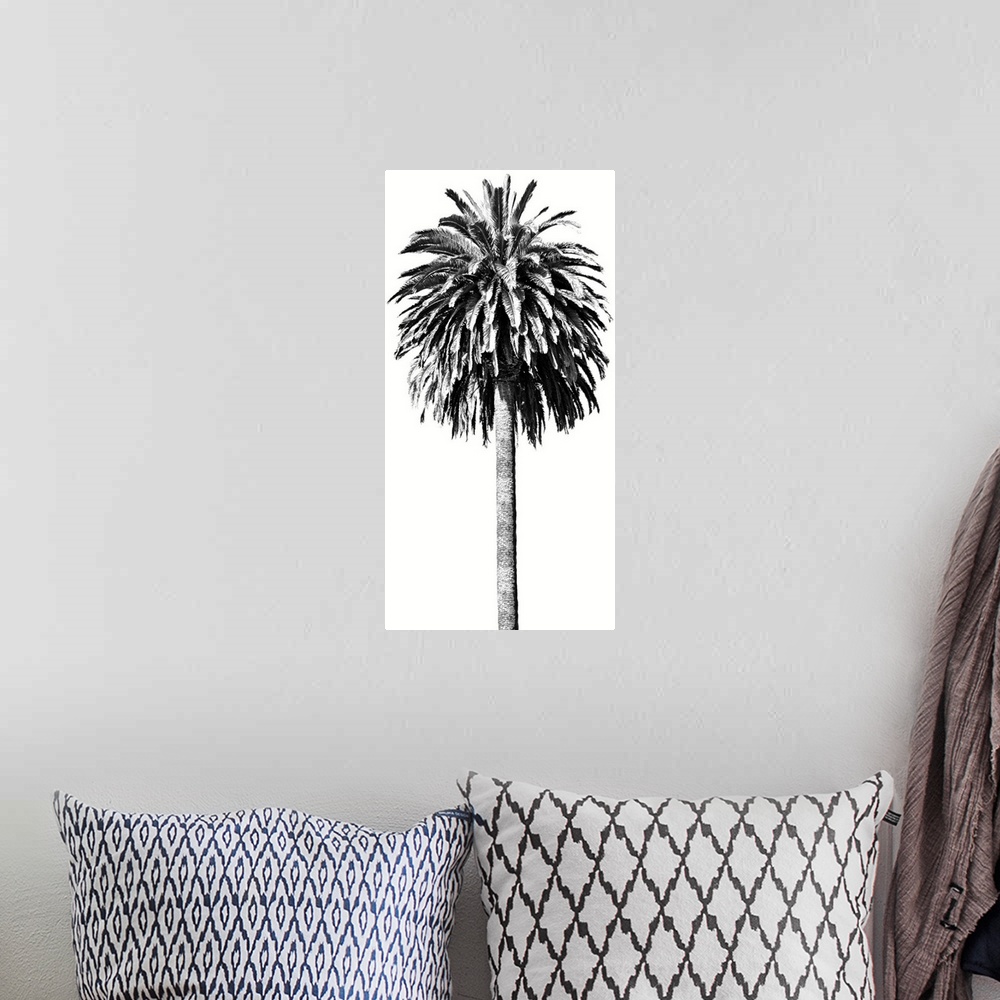 A bohemian room featuring Palm Tree II