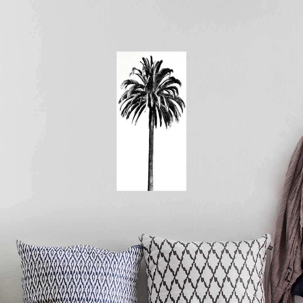 A bohemian room featuring Palm Tree III