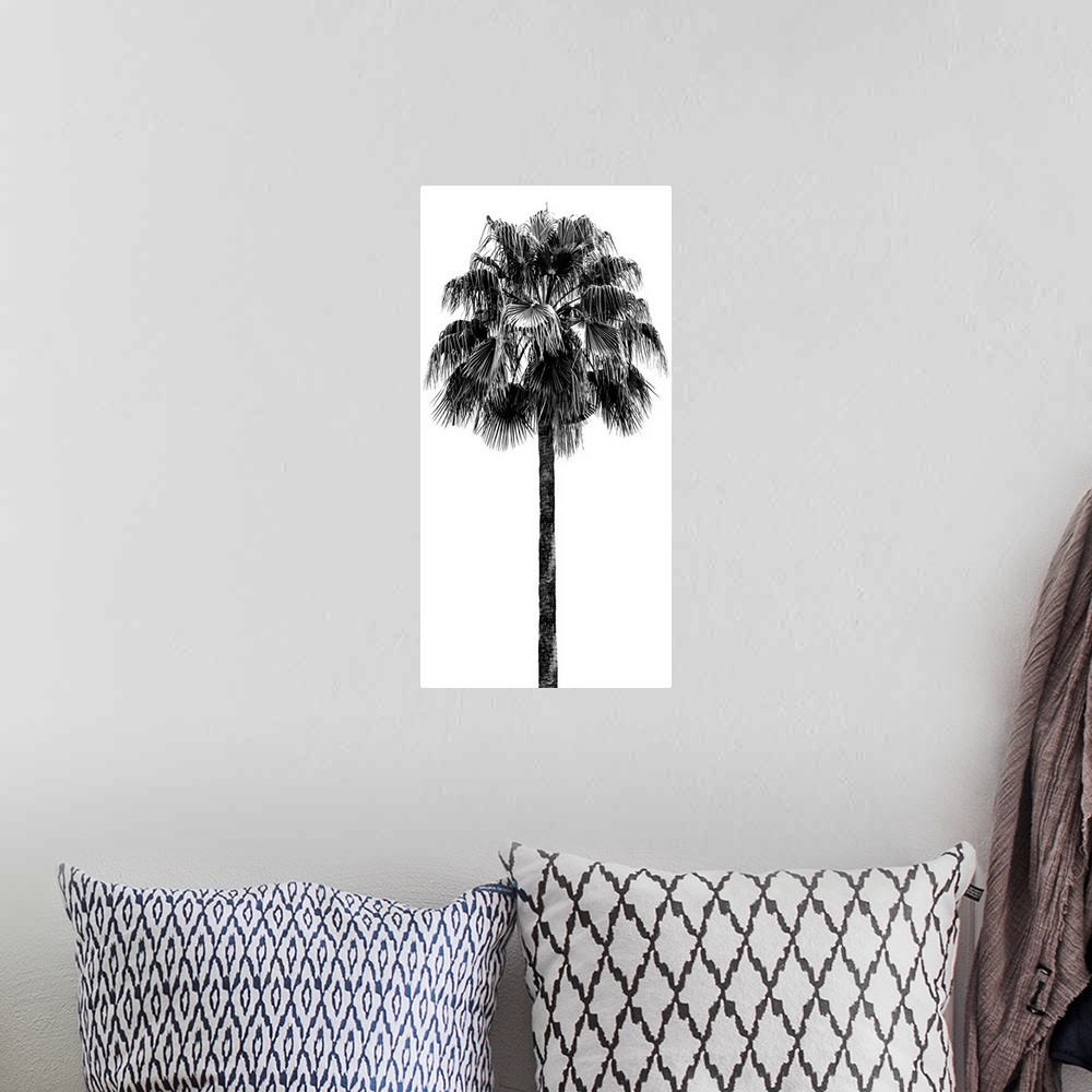 A bohemian room featuring Palm Tree IV