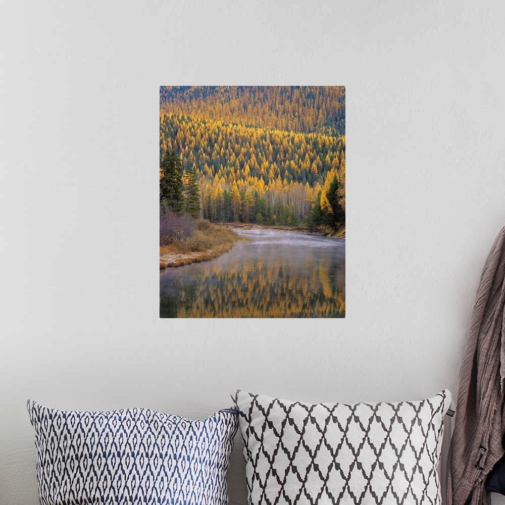 A bohemian room featuring Larch Trees reflect into McDonald Creek in Autumn in Glacier National Park Montana