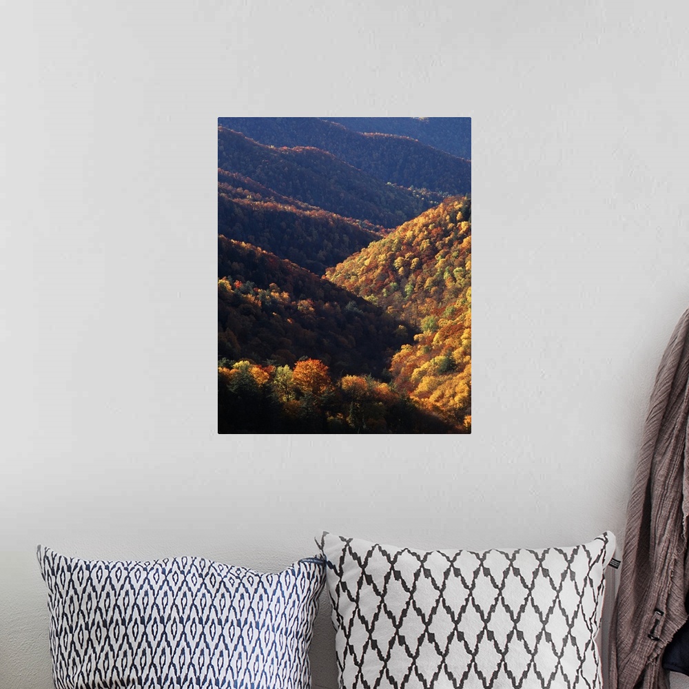 A bohemian room featuring USA, North Carolina, View of Great Smoky Mountains National Park