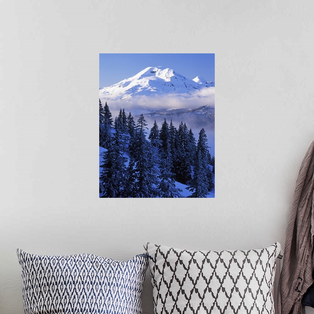 A bohemian room featuring USA, Oregon, Deschutes National Forest, South Sister