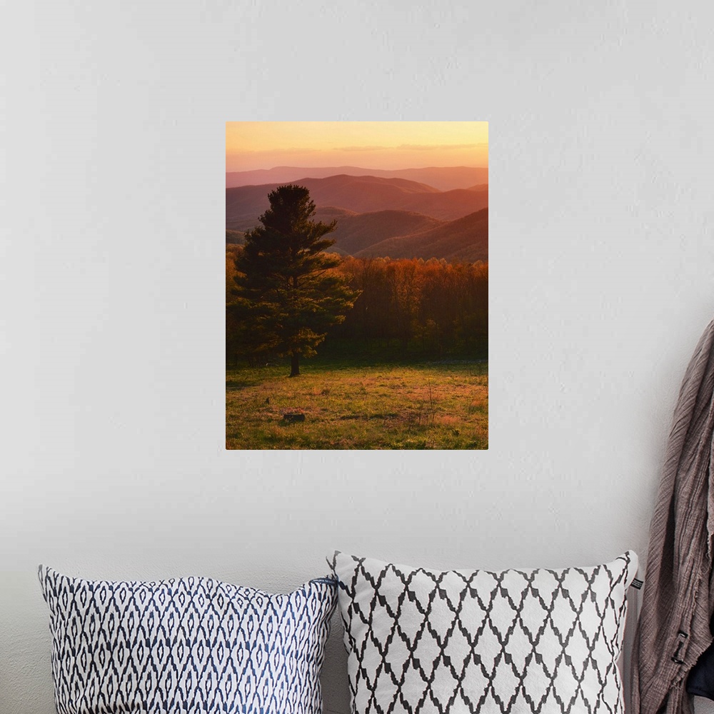 A bohemian room featuring USA, Virginia, Shenandoah National Park, Sunset from Hazeltop Ridge.