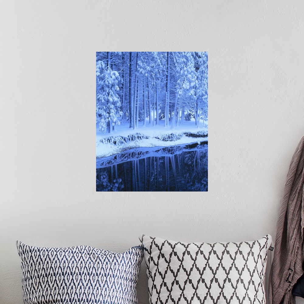 A bohemian room featuring Yosemite National Park, California, Fresh snow on conifers along Merced River