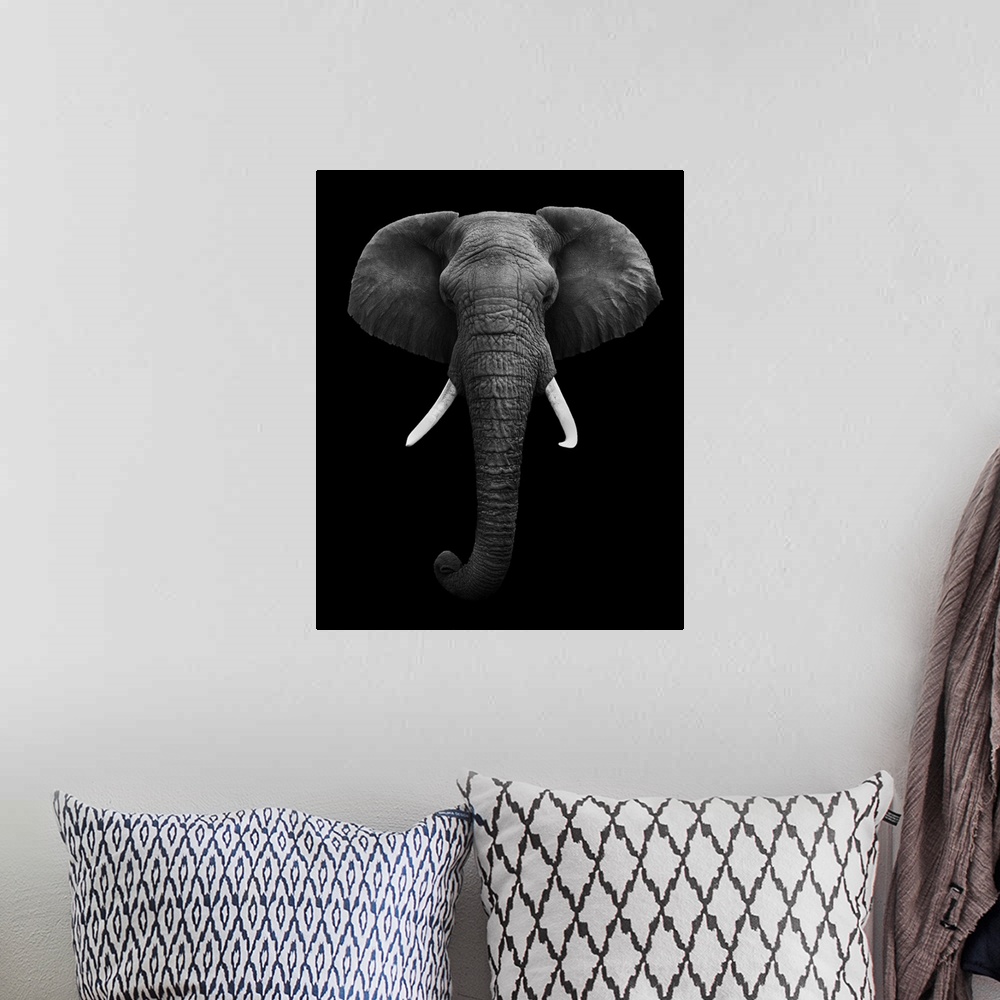 A bohemian room featuring Black and white image of an elephant isolated on a black background.