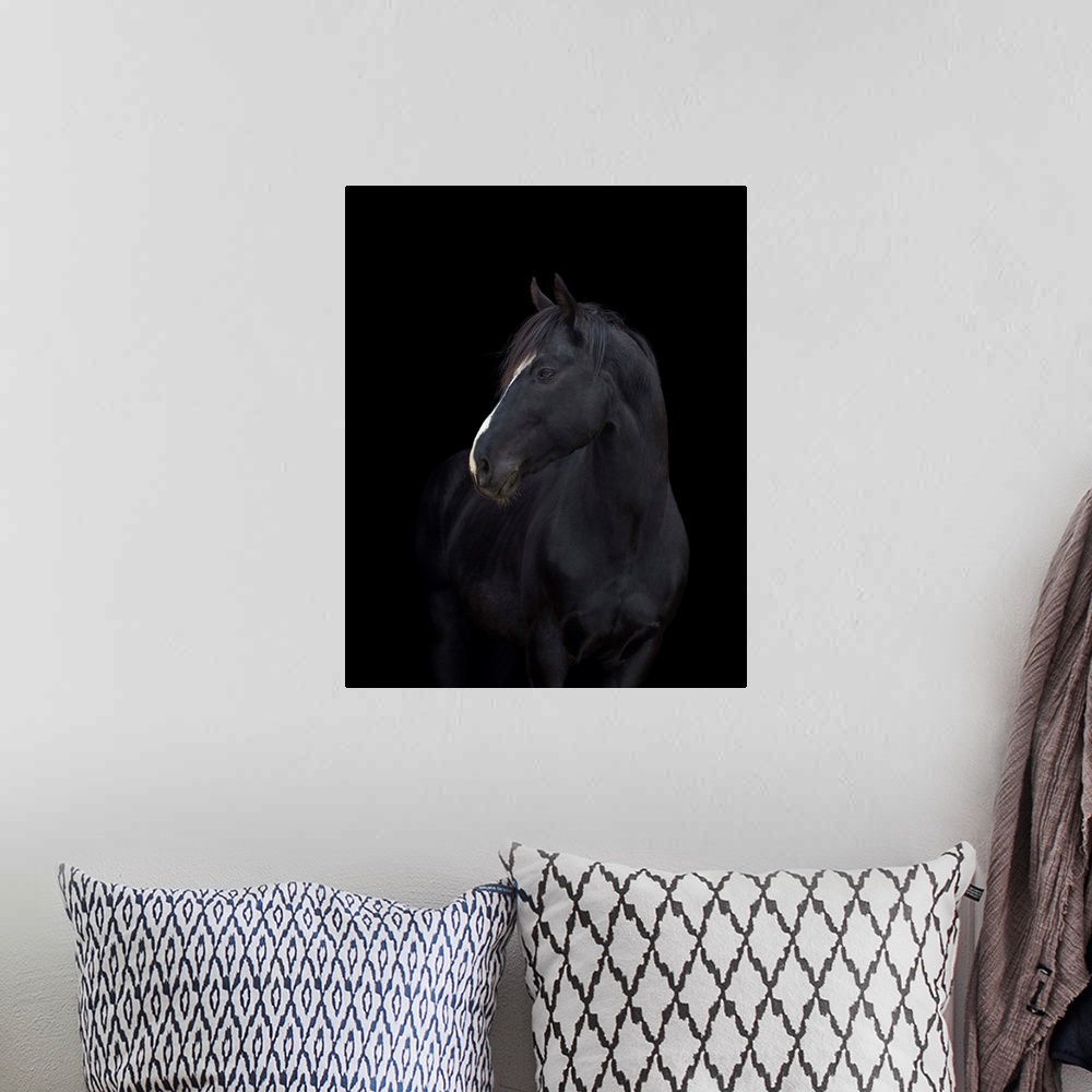A bohemian room featuring Black horse head on black background.