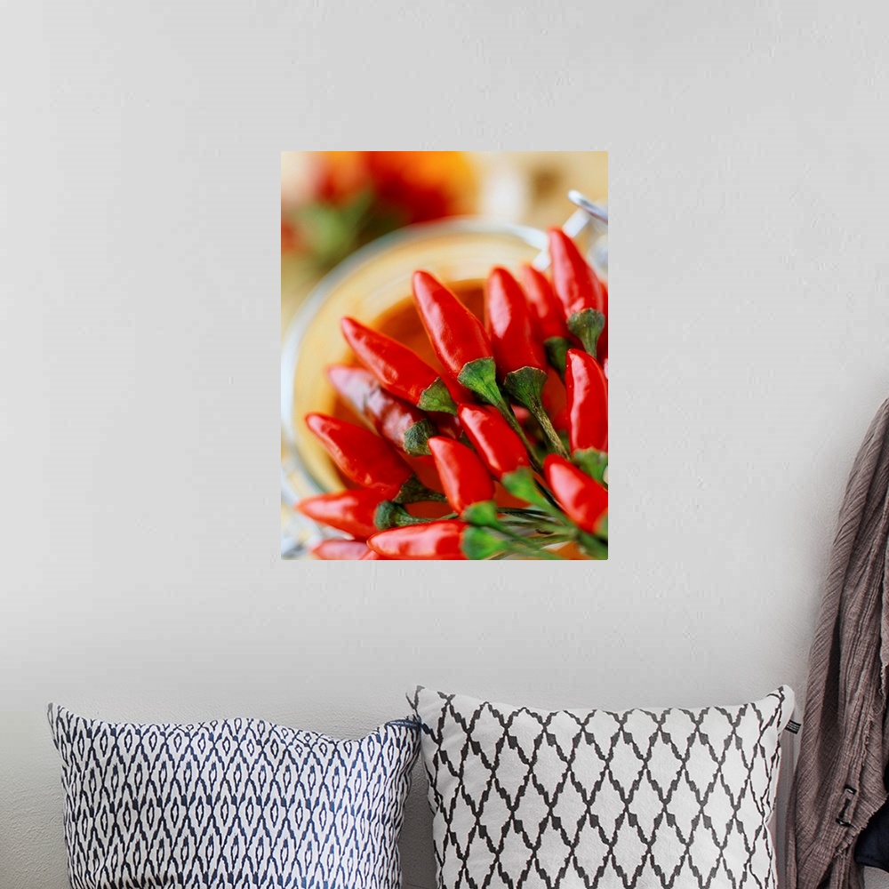 A bohemian room featuring Chili pepper