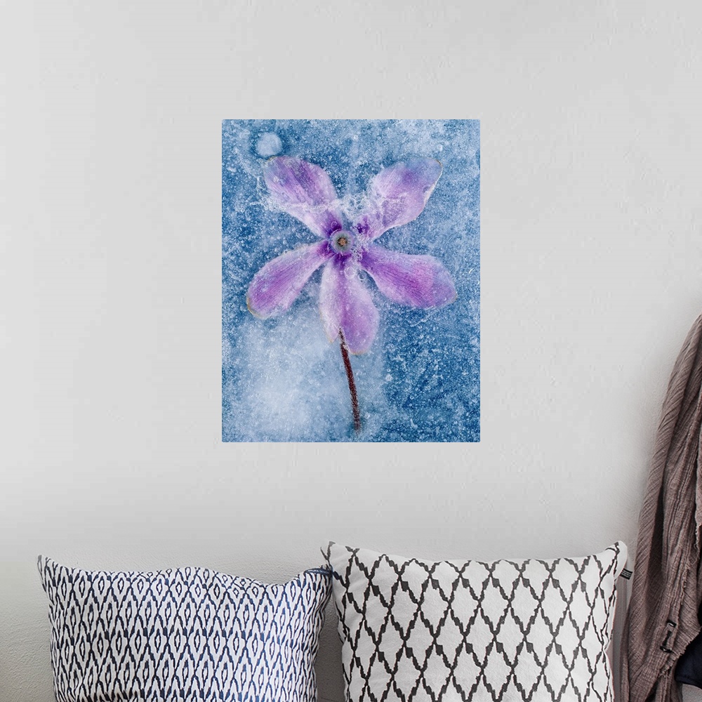 A bohemian room featuring Flower in ice