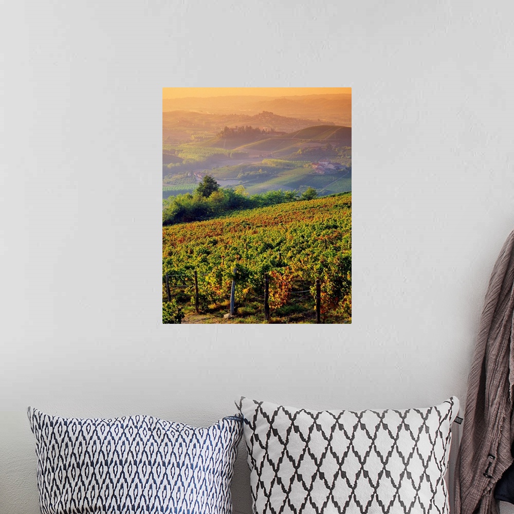 A bohemian room featuring Italy, Piedmont, Monferrato, hills and vineyards