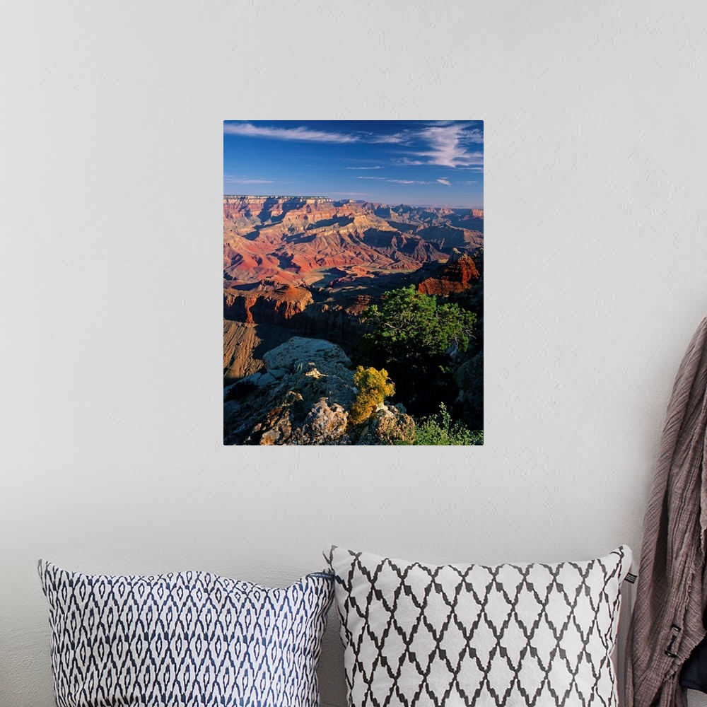 A bohemian room featuring United States, Arizona, Grand Canyon, Grand Canyon National Park, view from Lipan Point