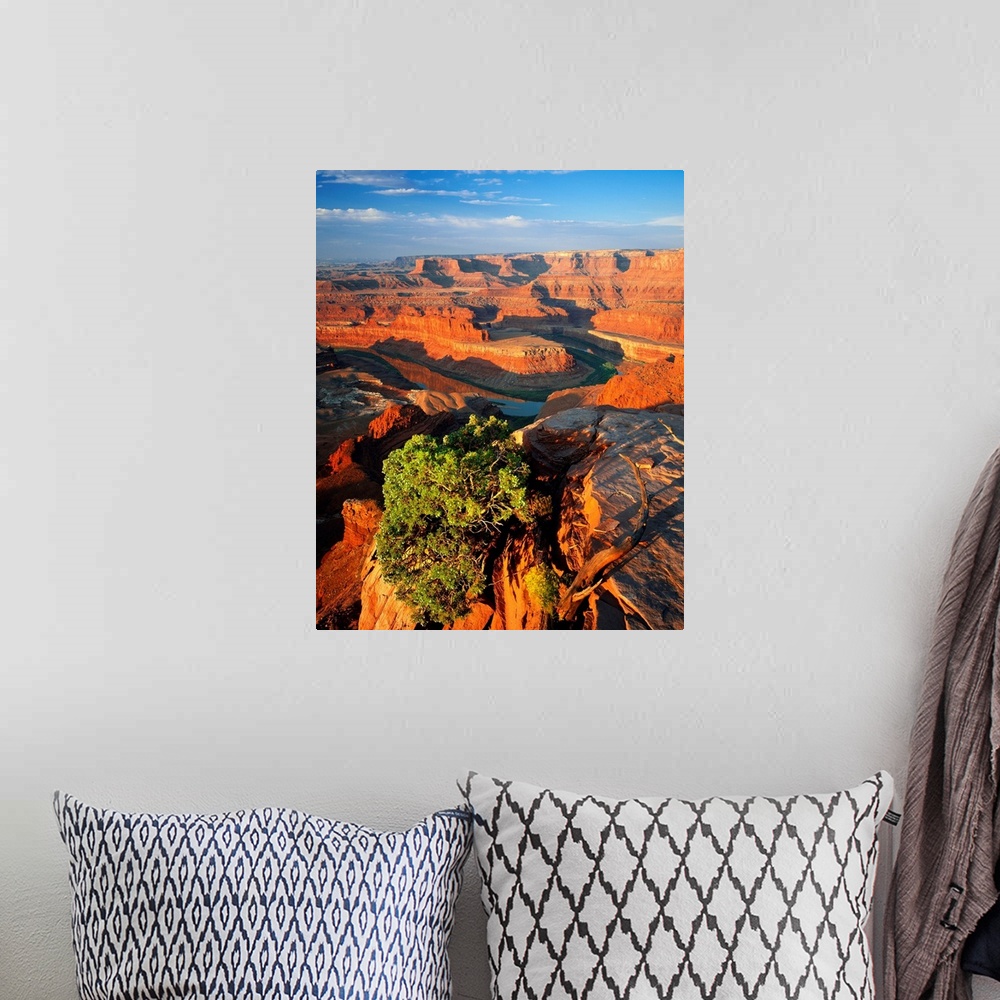 A bohemian room featuring Utah, Dead Horse Point State Park