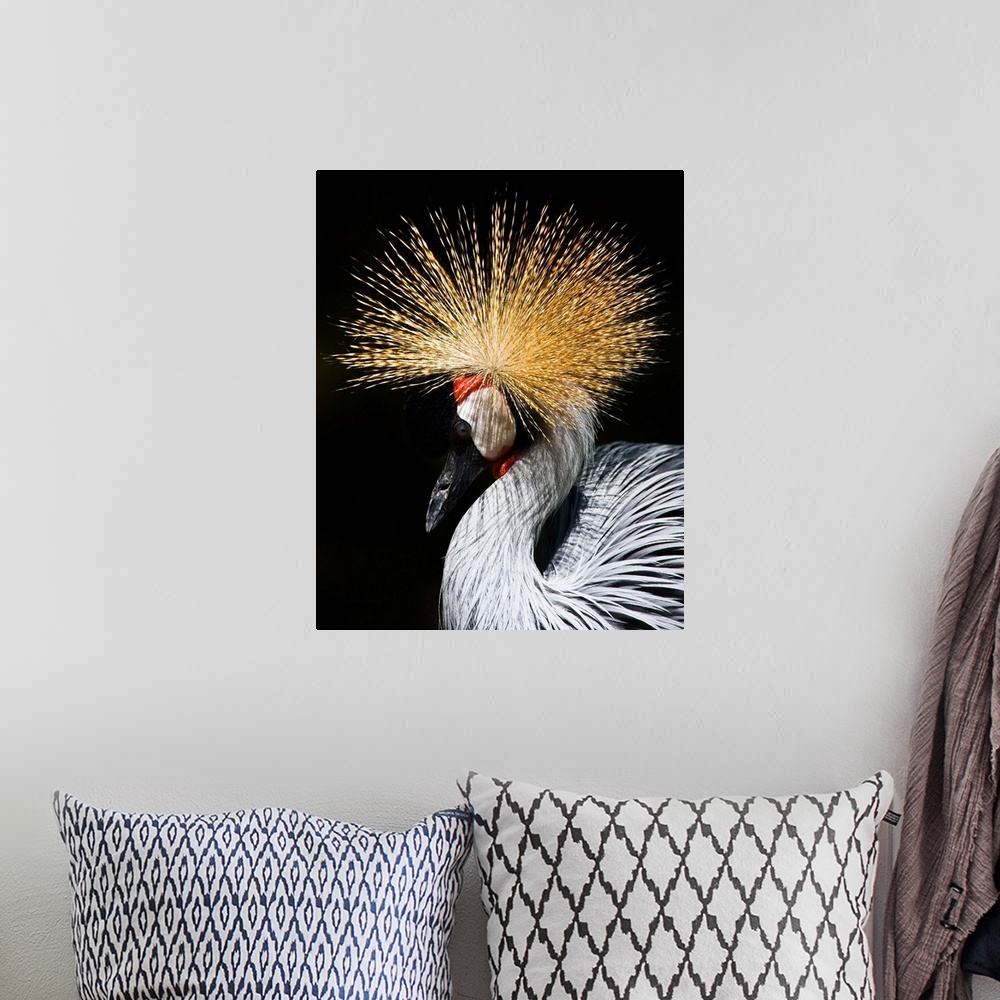 A bohemian room featuring A West African Crowned Crane