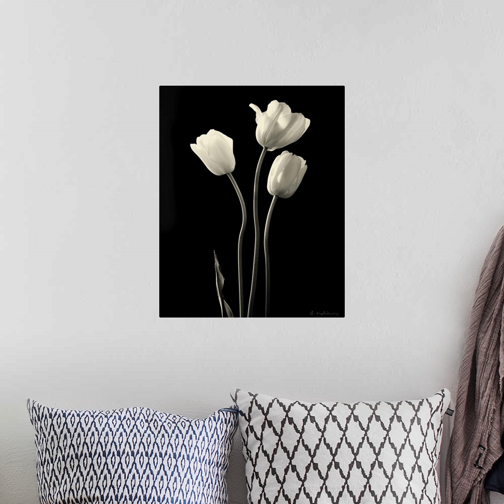 A bohemian room featuring Botanical Elegance Tulips - mini