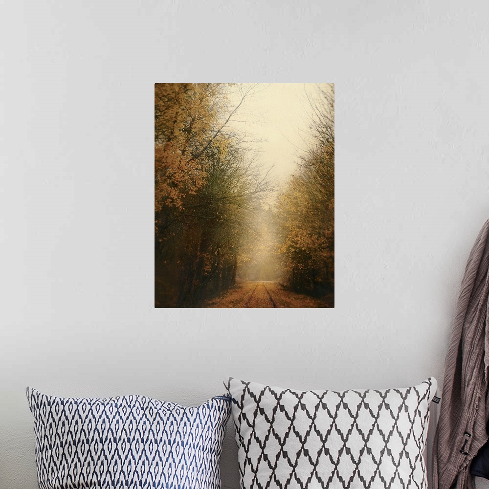 A bohemian room featuring Vertical, large fine art photograph of a narrow road covered in fallen leaves, surrounded by half...